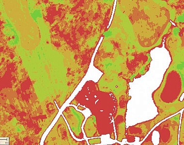 Analysis of vegetation on the golf course