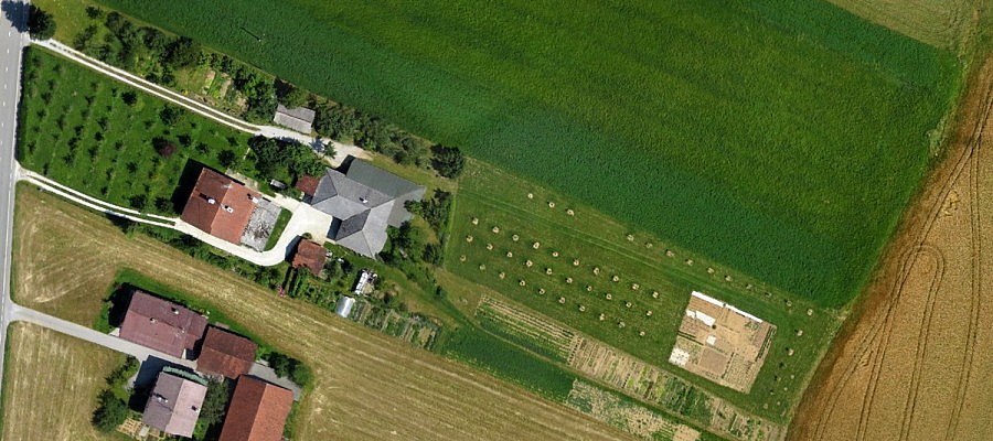 Studying vegetation from aerial photographs